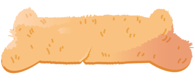 CHIEN